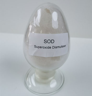 Порошок Dismutase супероксида ДЕРНА лицензии производства продуктов питания Assay 50000iu/g